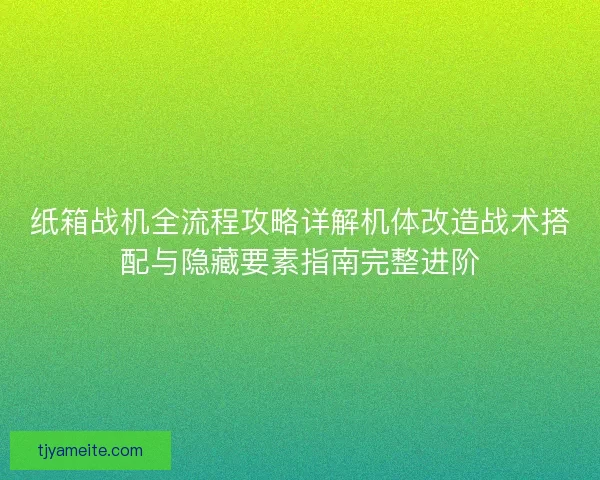 纸箱战机全流程攻略详解机体改造战术搭配与隐藏要素指南完整进阶