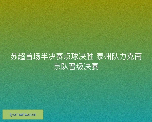 苏超首场半决赛点球决胜 泰州队力克南京队晋级决赛